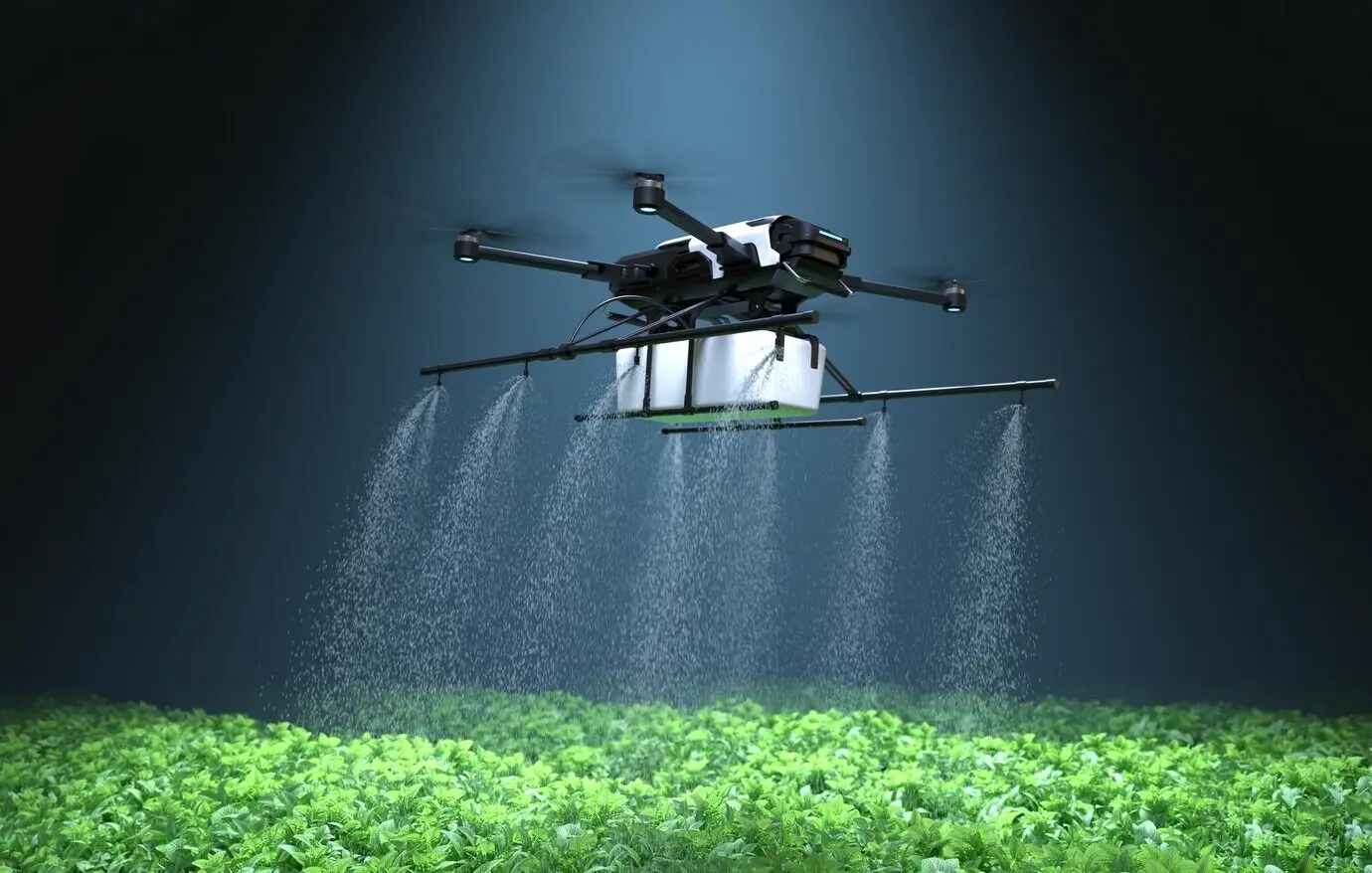 A drone spraying fertilizer on green vegetable plants; agricultural technology and farm automation.