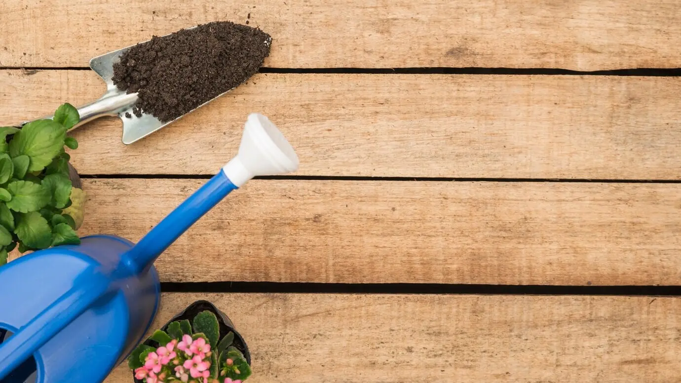 Overhead view of a watering can, flowering potted plants, and a hand shovel with soil on a wooden background.